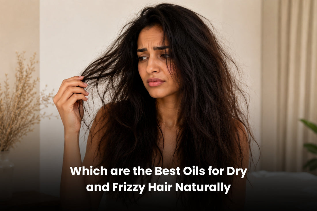 Which are the Best Oils for Dry and Frizzy Hair Naturally - Caraway