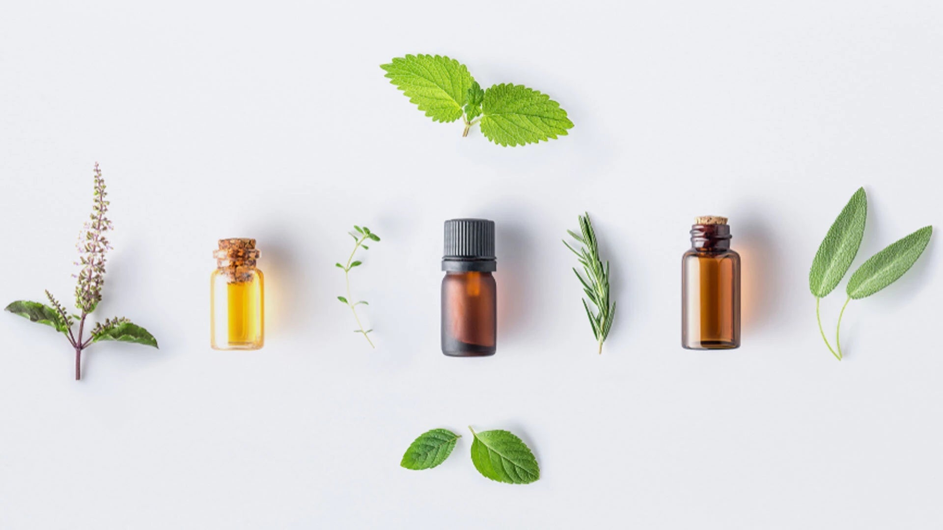 Hair and Skin - Caraway