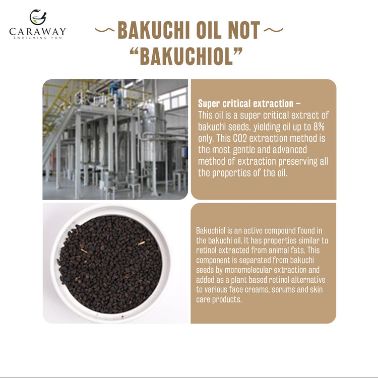 Bakuchi - Babchi Oil - Caraway