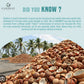 Coconut oil - Caraway