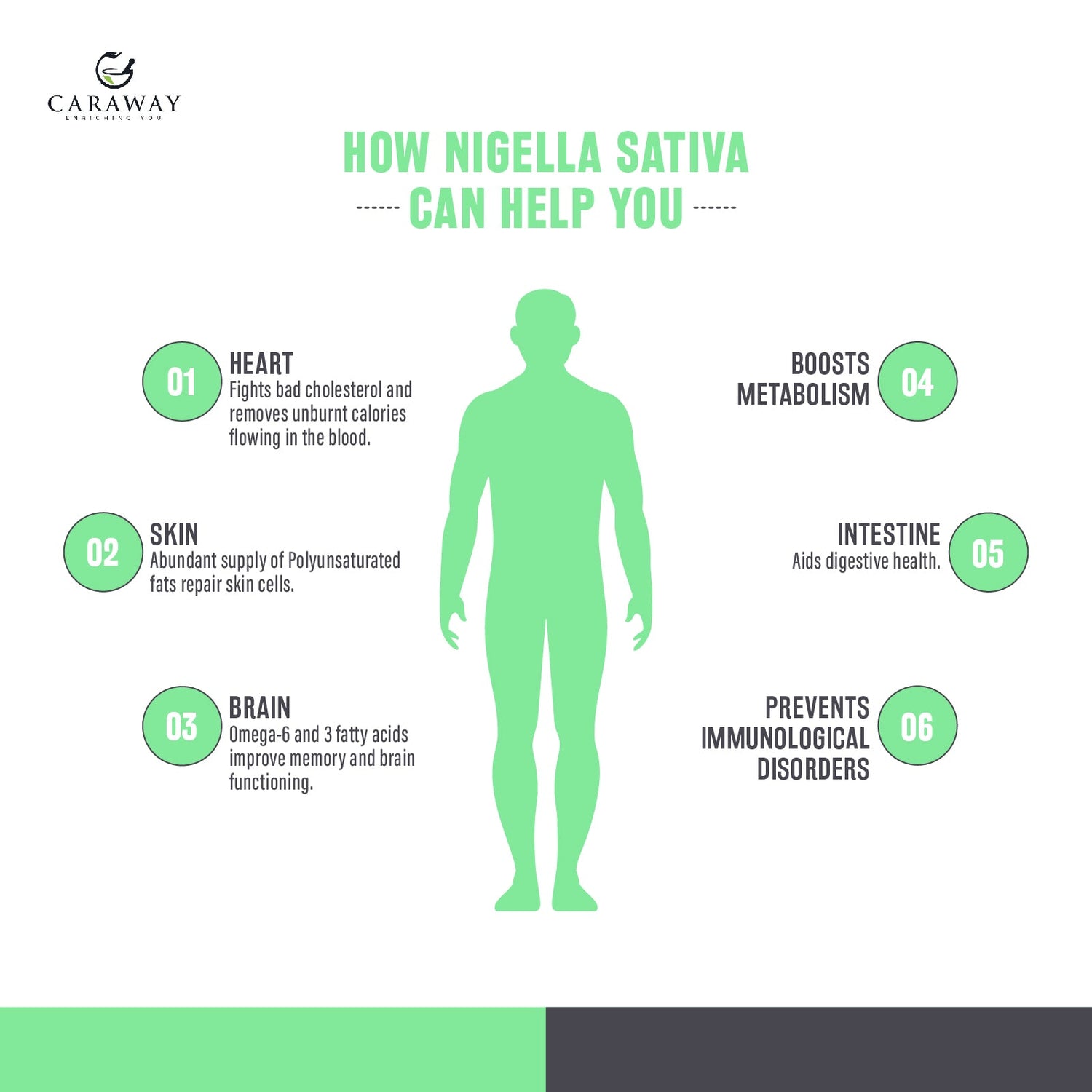 Hempseed Oil - Caraway