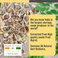 Moringa Seed Oil - Caraway