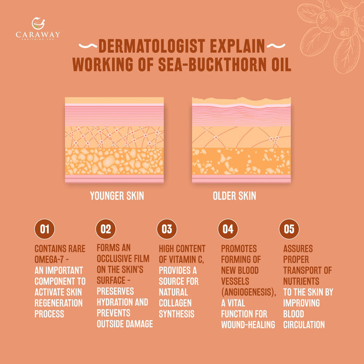 SEA BUCKTHORN WHOLE BERRY OIL - Caraway