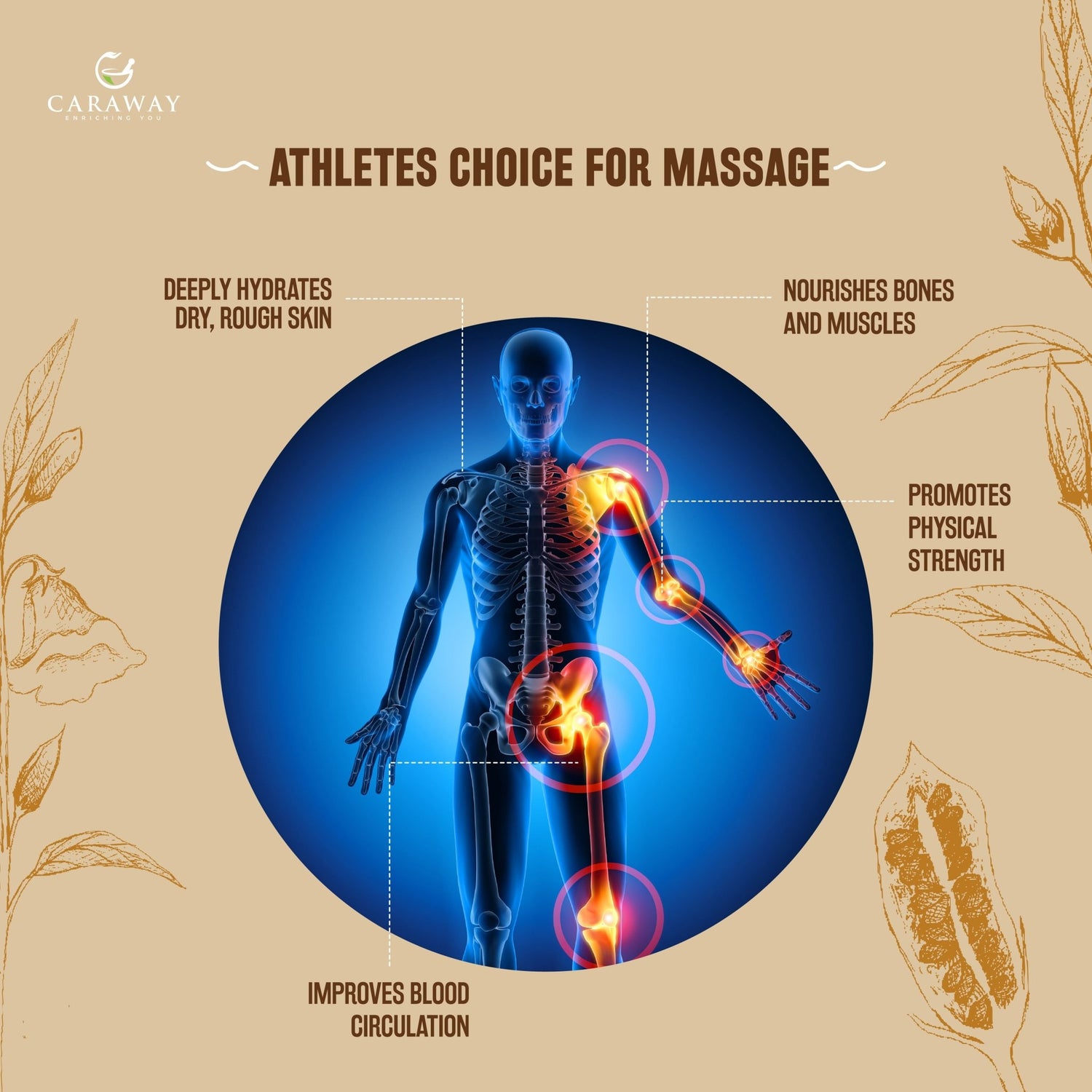 Sesame oil - Caraway