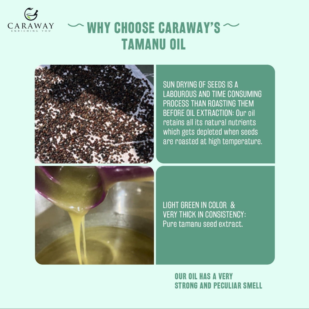 Tamanu Oil - Caraway