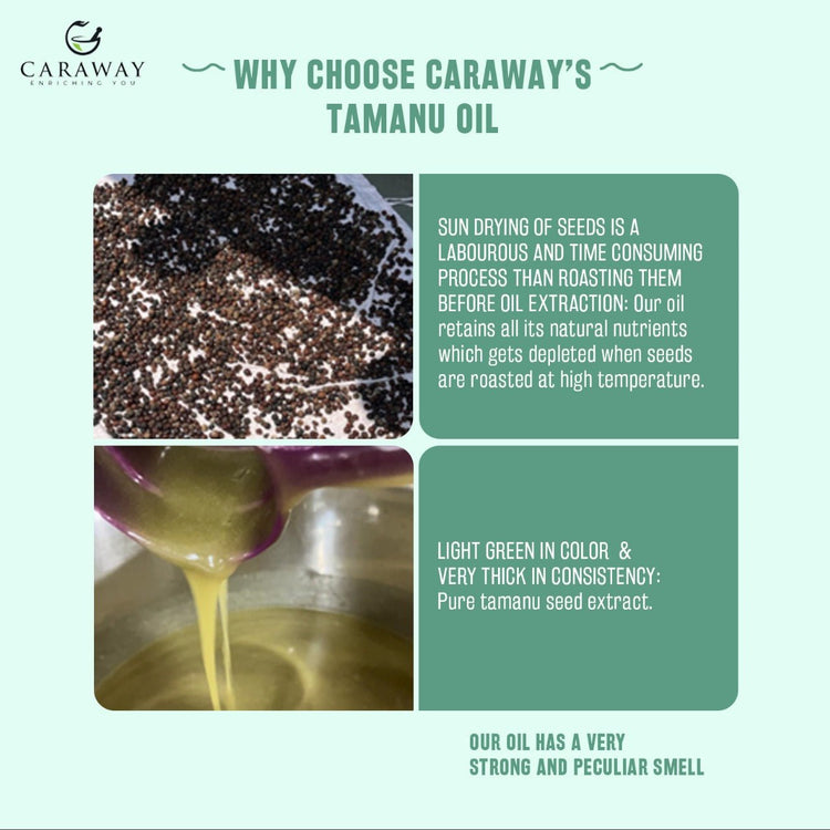 Tamanu Oil - Caraway