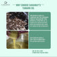 Tamanu Oil - Caraway