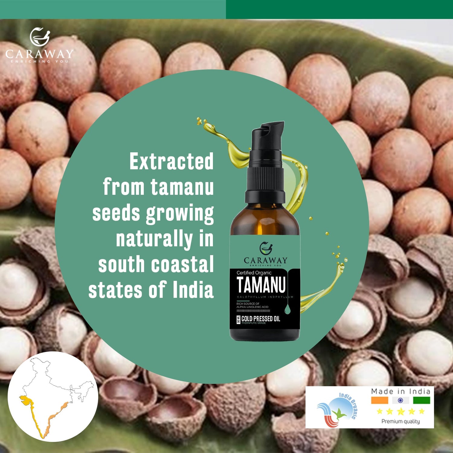 Tamanu Oil - Caraway