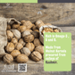 Walnut oil - Caraway