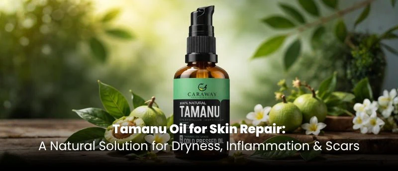 Tamanu Oil for Skin Repair - A Natural Solution